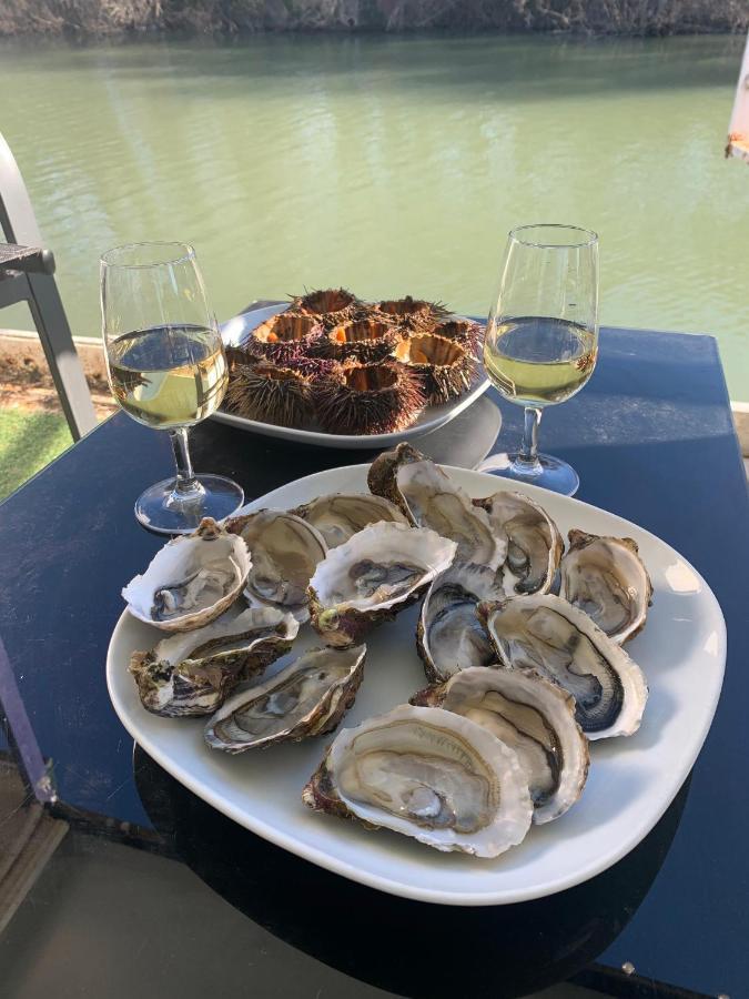 Péniche Le Pescalune - Chambre d'hôtes Arles Esterno foto