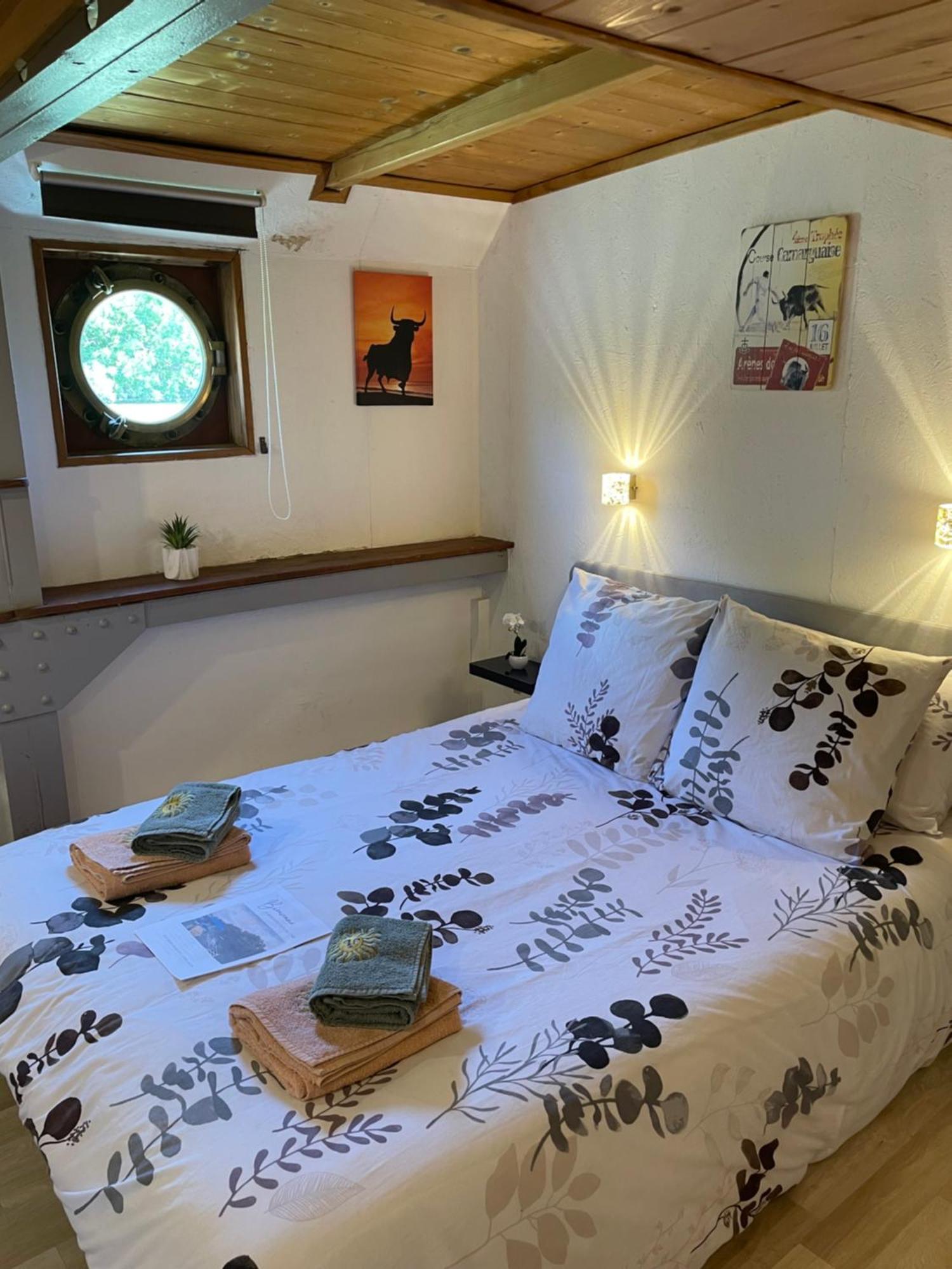 Péniche Le Pescalune - Chambre d'hôtes Arles Esterno foto