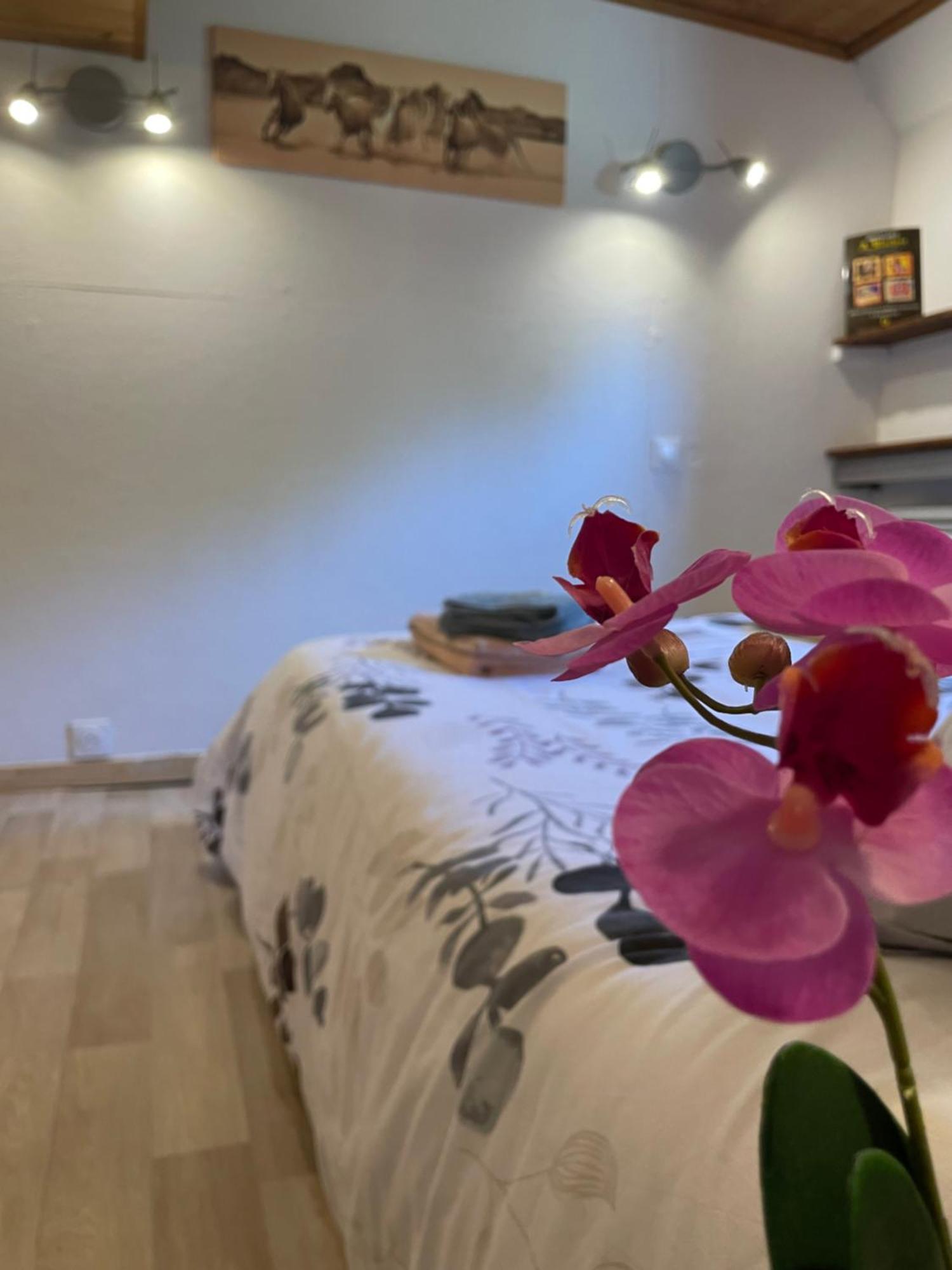 Péniche Le Pescalune - Chambre d'hôtes Arles Esterno foto