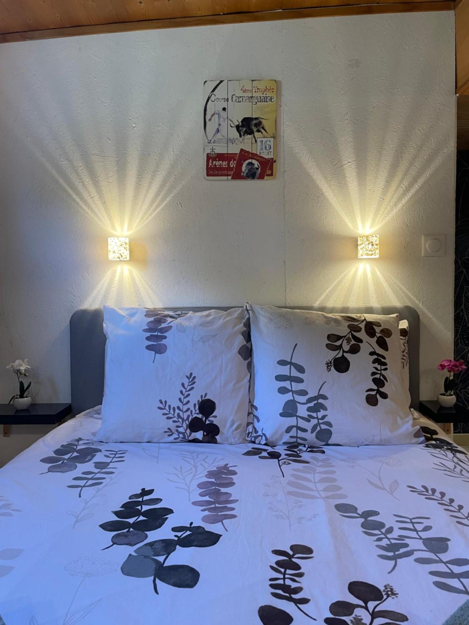 Péniche Le Pescalune - Chambre d'hôtes Arles Esterno foto