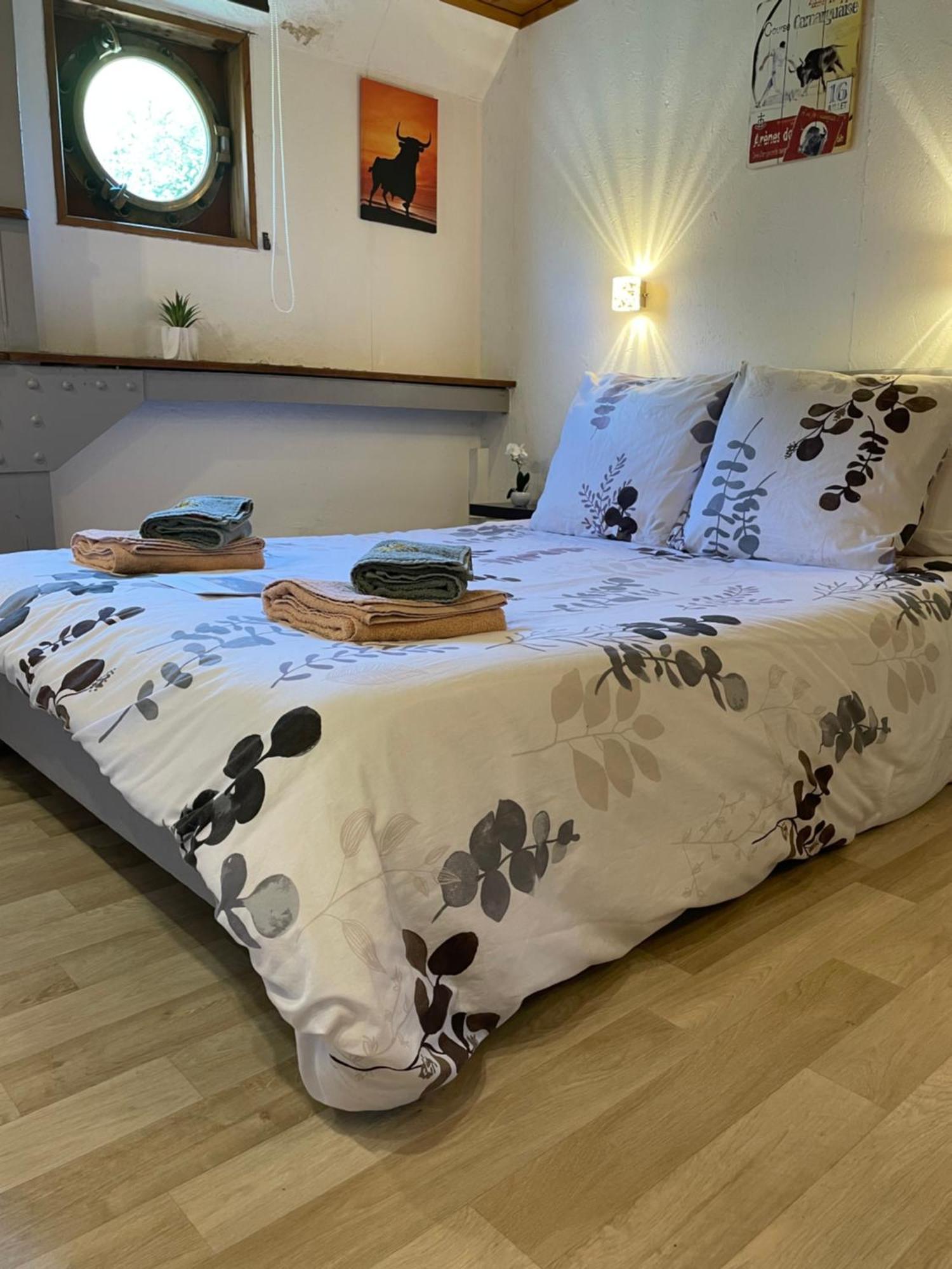 Péniche Le Pescalune - Chambre d'hôtes Arles Esterno foto